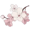 🤩 Эмодзи «ℬ𝒶𝓁𝓉𝒾4𝓀𝒶» для Telegram