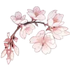 🤩 Эмодзи «ℬ𝒶𝓁𝓉𝒾4𝓀𝒶» для Telegram