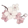 🤩 Эмодзи «ℬ𝒶𝓁𝓉𝒾4𝓀𝒶» для Telegram