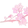 🤩 Эмодзи «ℬ𝒶𝓁𝓉𝒾4𝓀𝒶» для Telegram