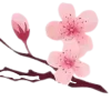 🤩 Эмодзи «ℬ𝒶𝓁𝓉𝒾4𝓀𝒶» для Telegram