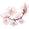 🤩 Эмодзи «ℬ𝒶𝓁𝓉𝒾4𝓀𝒶» для Telegram