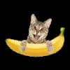 🍌 Эмодзи «Banana Clicker» для Telegram