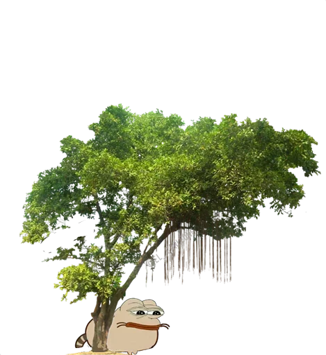 🐸 Стикер «Bare Pepe&;s» для Telegram