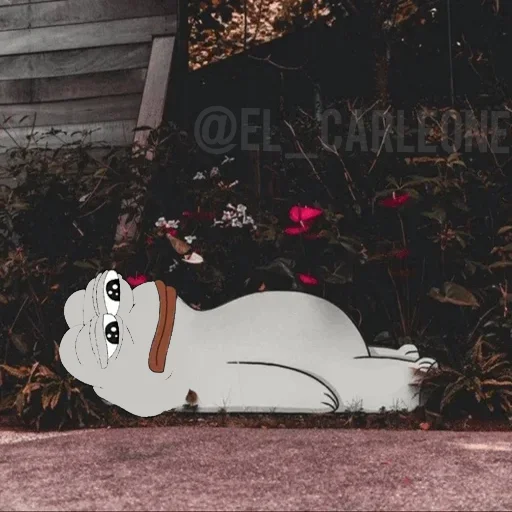 🐸 Стикер «Bare Pepe&;s» для Telegram