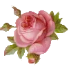🌺 Эмодзи «Barocco emoji» для Telegram