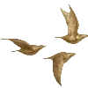 🐦 Эмодзи «Barocco emoji» для Telegram