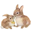🐰 Эмодзи «Barocco emoji» для Telegram