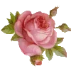 🌺 Эмодзи «Barocco emoji» для Telegram