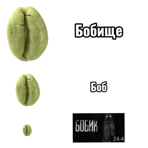 👍 Стикер «Бурмалда» для Telegram