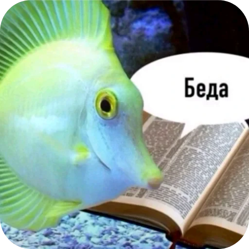 🍲 Стикер «Бурмалда» для Telegram