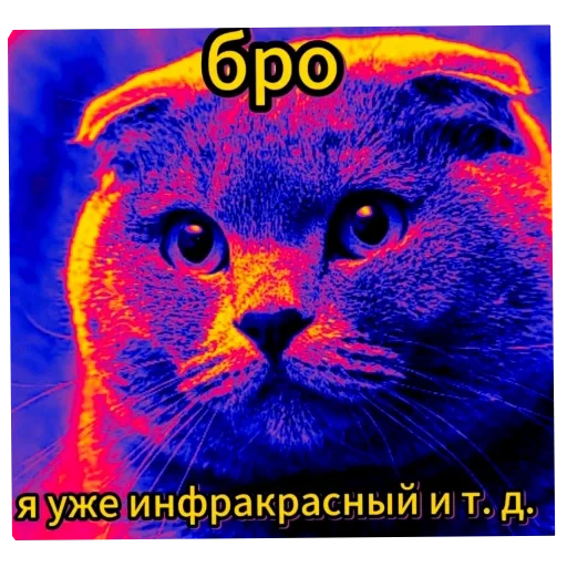 🟥 Стикер «Бурмалда» для Telegram