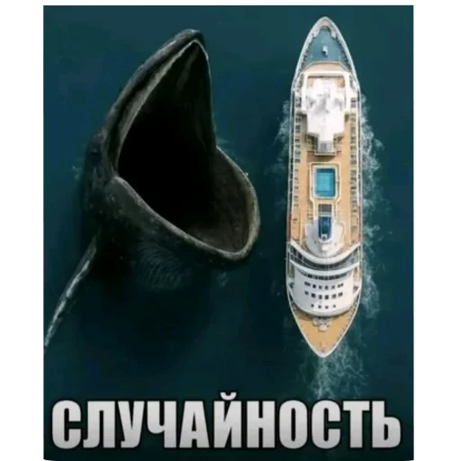 👟 Стикер «Бурмалда» для Telegram