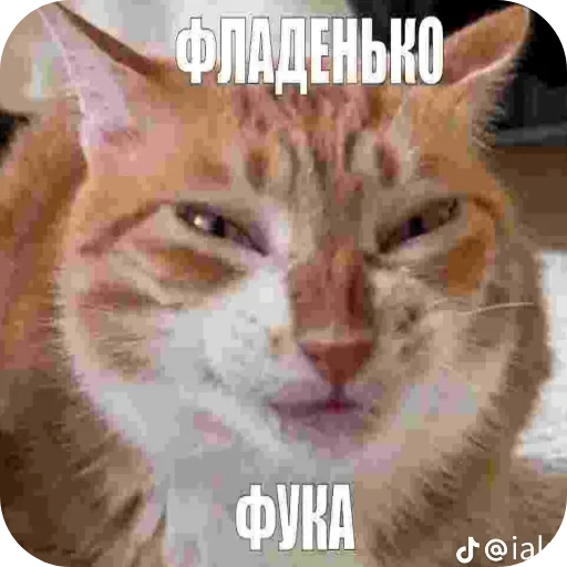 🖼 Стикер «Бурмалда» для Telegram