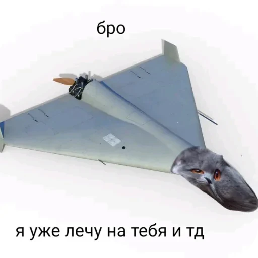 👍 Стикер «Бурмалда» для Telegram