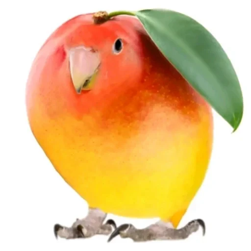 🐦 Стикер «Бурмалда» для Telegram