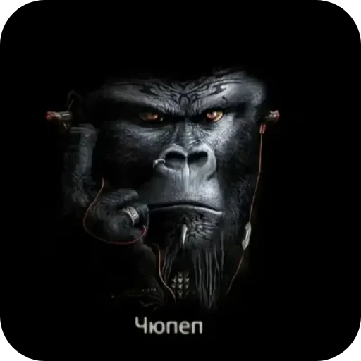 🦍 Стикер «Бурмалда» для Telegram