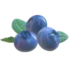 🫐 Эмодзи «Blueberry» для Telegram