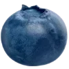 🫐 Эмодзи «Blueberry» для Telegram
