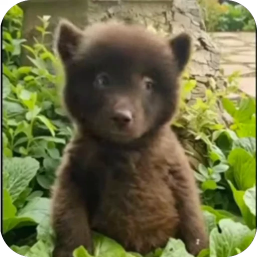 🥰 Стикер «ba» для Telegram