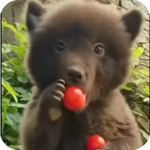 🥣 Стикер «ba» для Telegram