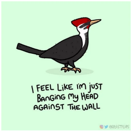 🐦 Стикер «Grumpy Animals» для Telegram