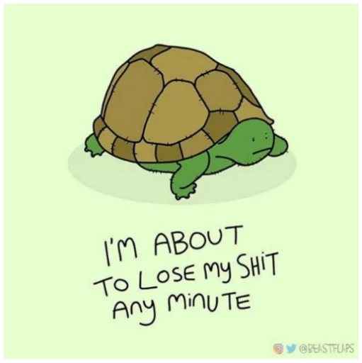 🐢 Стикер «Grumpy Animals» для Telegram
