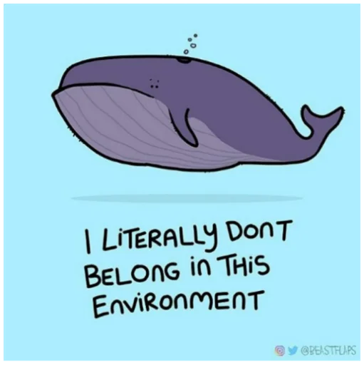 🐳 Стикер «Grumpy Animals» для Telegram