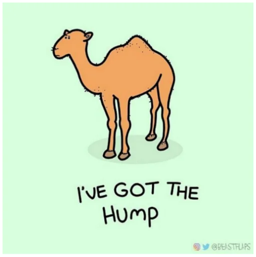 🐫 Стикер «Grumpy Animals» для Telegram