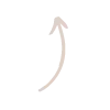 ⬆️ Эмодзи «Beige aesthetic» для Telegram