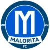 ⚽️ Эмодзи «Футбол Беларуси» для Telegram