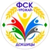 ⚽️ Эмодзи «Футбол Беларуси» для Telegram