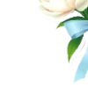 🌿 Эмодзи «Голубые буквы, русские и английские» для Telegram