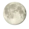 🌟 Эмодзи «Бежевый Vibe» для Telegram