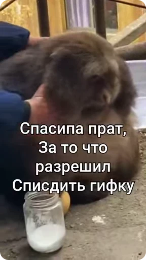 🌟 Стикер «Бибизяна» для Telegram