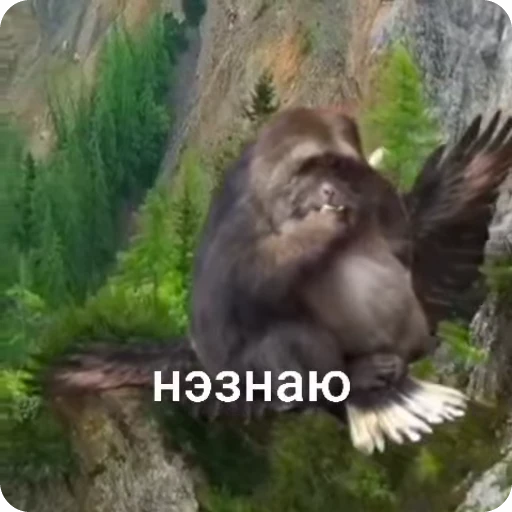 🌟 Стикер «Бибизяна» для Telegram