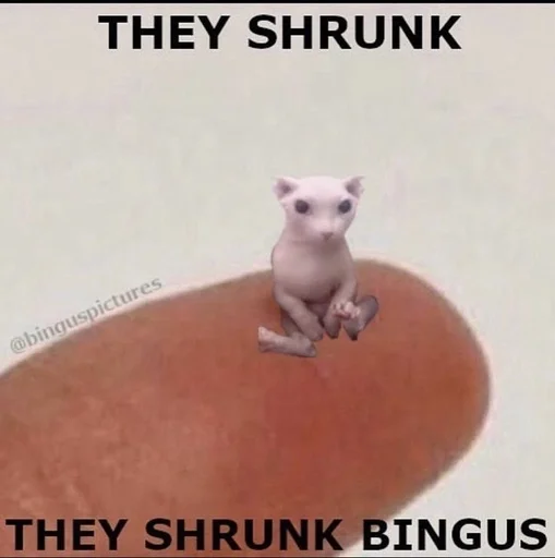 🥸 Стикер «bingus» для Telegram