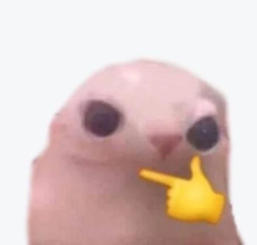 😉 Стикер «bingus» для Telegram