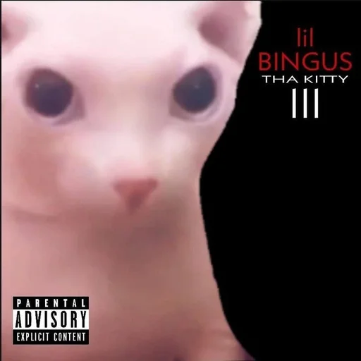 🤫 Стикер «bingus» для Telegram