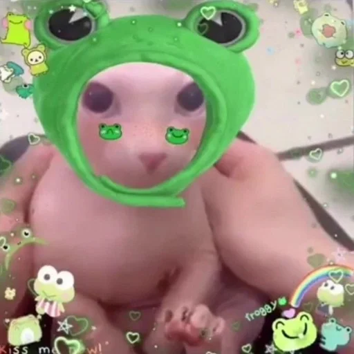 🐸 Стикер «bingus» для Telegram