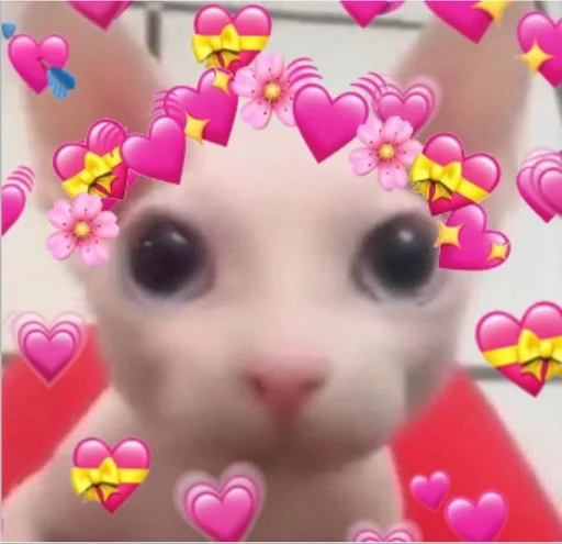 ❤ Стикер «bingus» для Telegram