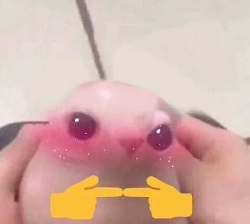 🥰 Стикер «bingus» для Telegram