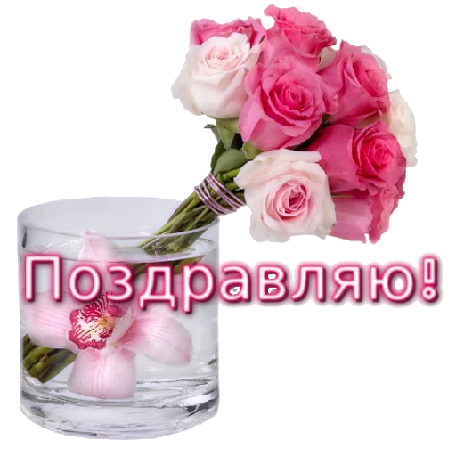 🌷 Стикер «Biosea Диана Мансурова» для Telegram