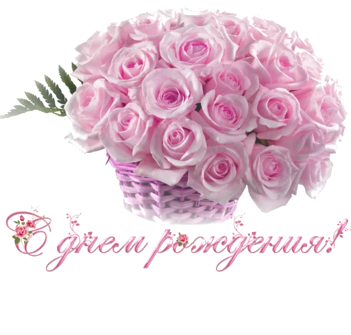 🎂 Стикер «Biosea Диана Мансурова» для Telegram