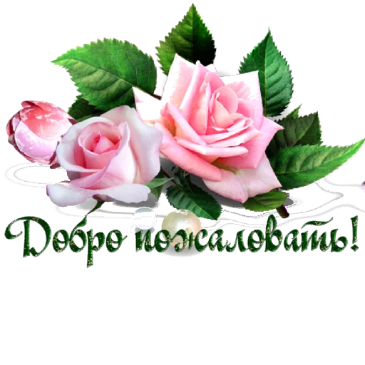 🌸 Стикер «Biosea Диана Мансурова» для Telegram