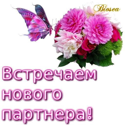 Стикерпак Biosea Диана Мансурова для Telegram — скачать