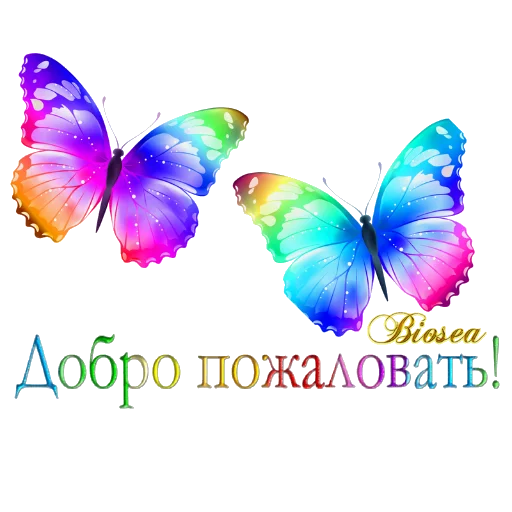 🦋 Стикер «Biosea Диана Мансурова» для Telegram