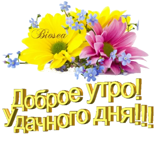 🌼 Стикер «Biosea Диана Мансурова» для Telegram