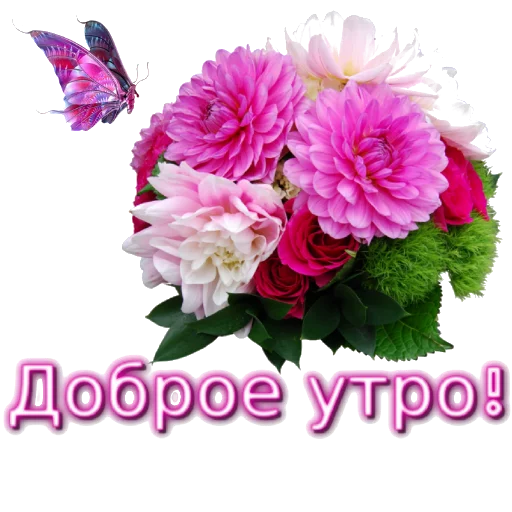 🌸 Стикер «Biosea Диана Мансурова» для Telegram