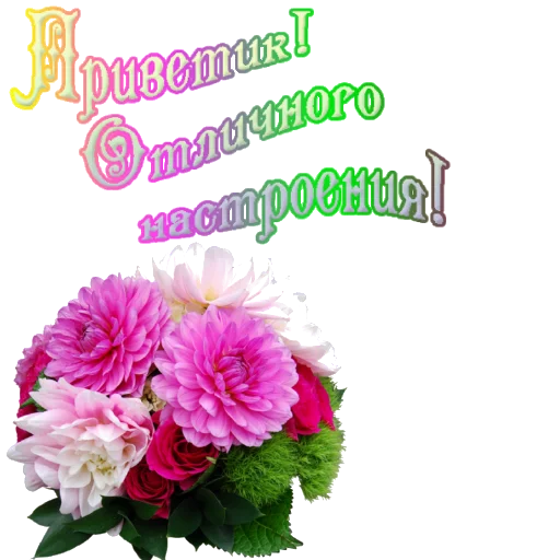 😀 Стикер «Biosea Диана Мансурова» для Telegram